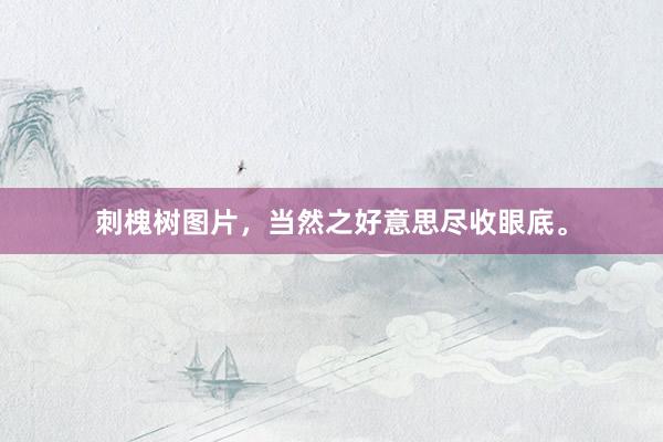 刺槐树图片，当然之好意思尽收眼底。
